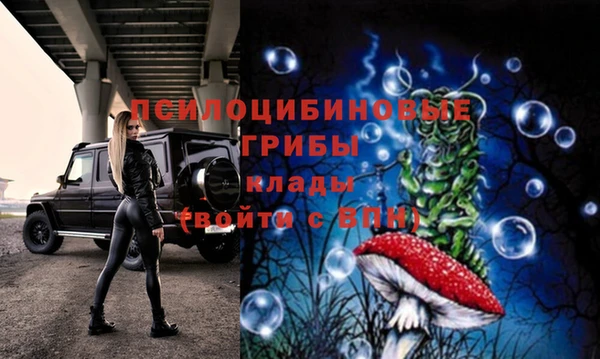 таблы Армянск