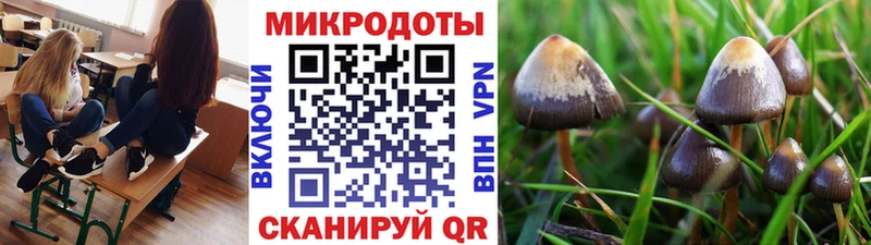 Галлюциногенные грибы GOLDEN TEACHER  Гагарин 