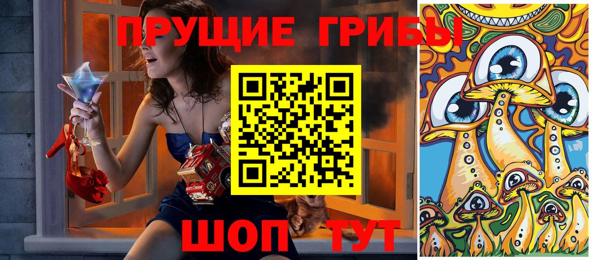 Псилоцибиновые грибы Cubensis Гагарин