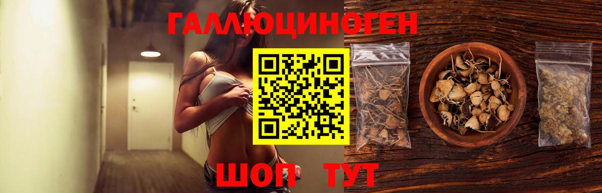 Галлюциногенные грибы Psilocybe Гагарин